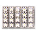 ΛΑΜΠΑ ΠΛΑΦΟΝΙΕΡΑΣ ΜΕ 20 LED, 35x50mm, ΛΕΥΚΟ 1 ΤΜΧ € 22,90