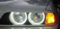 Δαχτυλίδια angel eyes CCFL για BMW E36/E38 / E39 - Λευκό χρώμα € 32,9