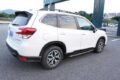 Σκαλοπάτια για Subaru Forester (2019+) - 2τμχ. € 650,9