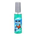 ΑΡΩΜΑΤΙΚΟ AIR PERFUME ΣΠΡΕΙ ΜΠΟΥΚΑΛΙ – 75 ML