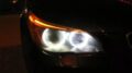 10W led για αυθεντικά angel eyes για BMW E39 / E60 / E53 X5 / E65 / E87 / E63 - λευκό χρώμα - 2τμχ.