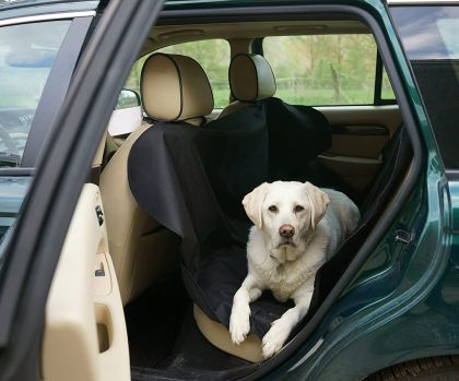 Κάλυμμα αυτοκινήτου για σκύλο Petex - Standard 1 τμχ. - € 33,9 Κάλυμμα αυτοκινήτου για σκύλο Petex - Standard 1 τμχ.